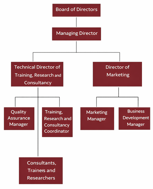 Disney International Consultancy Core Values
