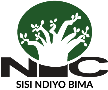 NIC